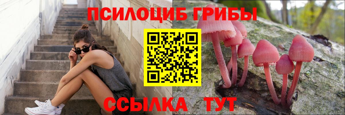 Галлюциногенные грибы прущие грибы Юрга