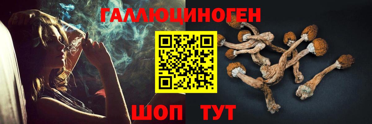 Юрга  Псилоцибиновые грибы мицелий  Вход с VPN 